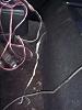 audio noob-000_0628.jpg