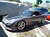 Update: Opinion, Wingless?-dsc05287.jpg