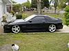Name that WING!!!-99_3.jpg