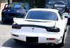 My new wing!-p1000053.jpg