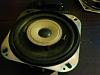 should i use these speakers-0429072011a.jpg