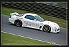 Feed Front Bumper?-racefd3.jpg