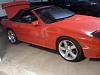 my baby-7.jpg