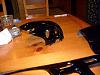 Interior and lights-1st-coat-2.jpg