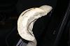 List of seats that fit and dont fit.-dsc01166.jpg