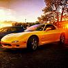 POST PICS OF CYM here-image-1649065034.jpg