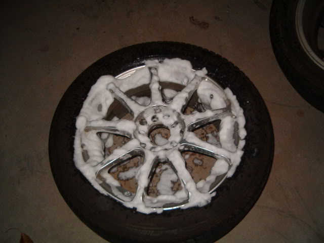 Name:  7-30-06006.jpg
Views: 8965
Size:  36.7 KB