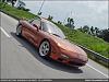 Metallic Copper FD-dsc00928.jpg