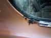 RUST The Nasty Word-pict0021-medium-.jpg