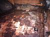 RUST The Nasty Word-pict0009-medium-.jpg