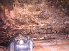 RUST The Nasty Word-pict0011-medium-.jpg