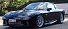 wing or no wing?-resize139.jpg