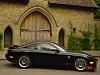 wing or no wing?-z302.jpg