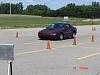 < new girl ^^-dsc00679-webpage-size.jpg