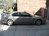 Newbie in TX-picture-345-small-.jpg