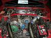 new to the scene..-pc210134.jpg