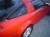 new Brunswick newbie-dsc00078.jpg
