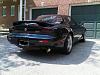 potential new owner-rear.jpg