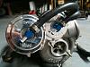 new  aussie member-photo-2.jpg