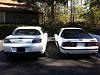 New From Florida-img_1233.jpg