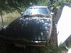 Another new member-car1.jpg