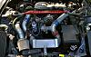 newb from italy-dsc_0506.jpg