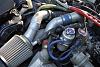 newb from italy-dsc_0508.jpg
