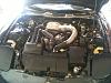New FD owner in San Diego-photo-2.jpg