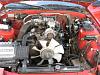 New from toronto-image-1528777060.jpg