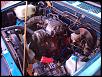 New member from the Edmonton-dsc02078.jpg