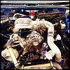 Ricky from florida-image-3086457768.jpg