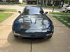 New guy from Houston TX-turtle-138.jpg