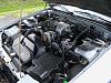 New Member from Staunton, Virginia-100_5581.jpg