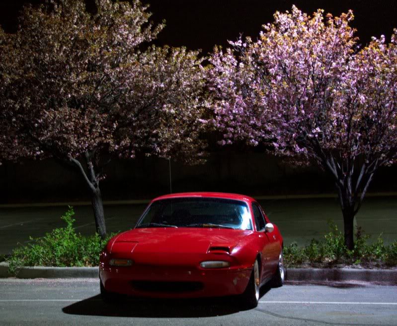 Name: Cherryblossom.jpg
Views: 73
Size: 111.4 KB