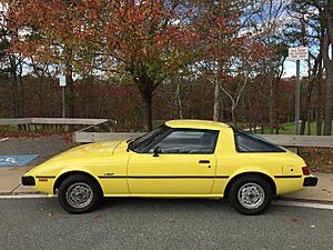 Cape Cod Beauty 1979 Spark Yellow-img_1908.jpg