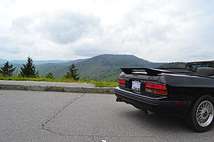 Hello Everyone-dsc_0146-1-.jpg