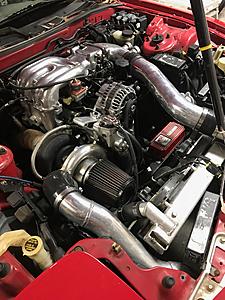 New Guy Here-img_1250.jpg