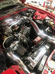 New Guy Here-img_1253.jpg