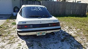New Member Post-first-day-rear.jpg
