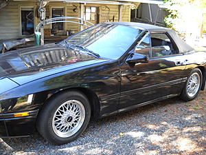 Black Again-dscn3740.jpg