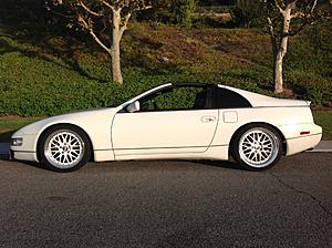 New to this forum-img_0852.jpg