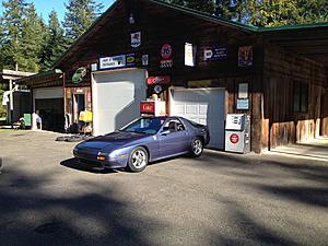 new kid on the block-img_0600.jpg