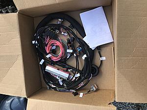 New IN member-dee7ce4c-5418-45b8-84ff-53bbc3d5f547.jpeg