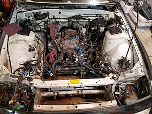 New FC owner in the U.S!-9r6gtl1.jpg