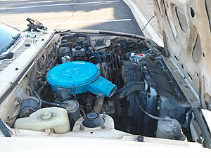 New FD Owner in PHX-vp3bfry.jpg