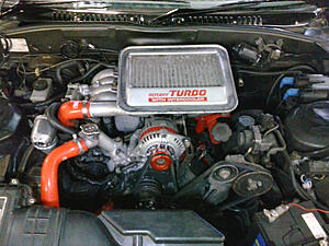 New FC owner - New Zealand-uff379r.jpg