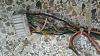 Wiring Tranny for 3rd Gen Microtech LT10s-imag0629.jpg