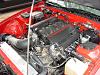 any one from MN?-dsc01416.jpg