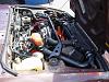 Rotary Rx, Inc Bbq Roll Call!-dsc02758.jpg
