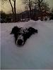 Colorado Related Pictures-214.jpg